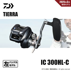 _C 25 eBG IC 300HL-C 
