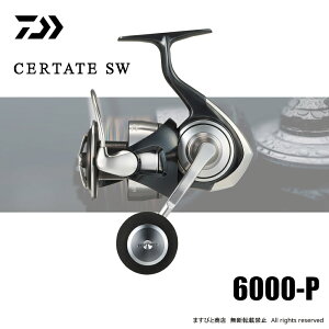 ダイワ 24 セルテート SW 6000-P 送料無料