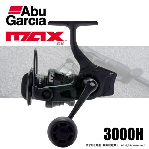 �A�u�K���V�A �}�b�N�X SX 3000H ��������