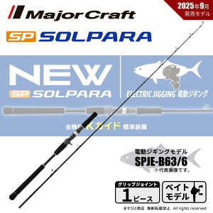 W[Ntg 25 \p dWMO SPJE-B63/6 