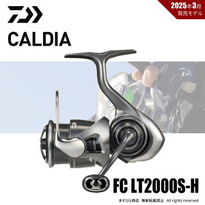 yZzʉi _C 25 JfBA FC LT2000S-H 