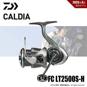 yZzʉi _C 25 JfBA FCLT2500S-H 