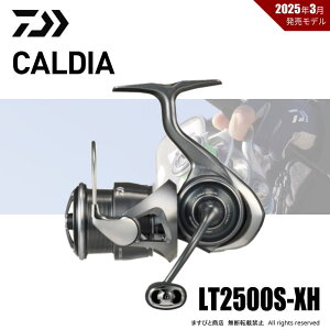 yZzʉi _C 25 JfBA LT2500S-XH 