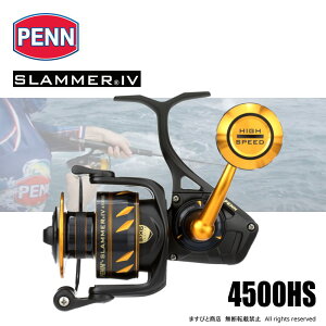 �y�� �X���}�[ IV 4500HS ��������