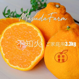 vc_ ysm΃fR| e3.3kg QY 󂠂zs  L J}_ t[c ݂ ʕ  B݂ k 񂫂 HiX Yny