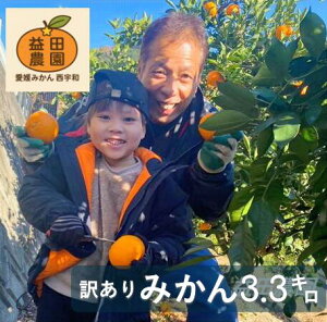 vc_݂e3.3kgQY󂠂݂sLJ}_t[c݂ʕ̉B݂񊹋kނ񂫂HiXYny(ꕔn揜)