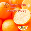 益田農園直送西宇和マドンナ内容量3kg 愛媛産 訳あり紅まどんな愛果試第28号みかん不揃い 傷 汚れ有 カラマンダリン …