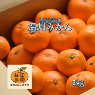 益田農園直送みかん【極早生】☆3.3kgに増量中☆愛媛産訳ありみかん不揃い傷汚れ有カラマンダリンフルー…