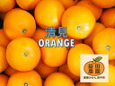 ◆清見オレンジ◇益田農園直送で新鮮で美味しい【愛媛みかん西宇和産】訳あり フルーツ 美味しいみかん 果物 くだもの…