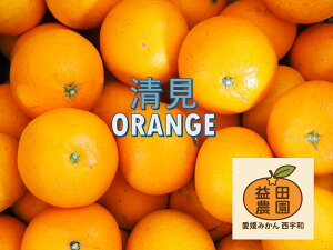 vc_yIWe3kg QY 󂠂zON̐IWʐ^@s  L J}_ t[c ݂ ʕ  B݂ k 񂫂 Hi