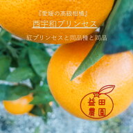 ☆西宇和プリンセス☆甘平と紅マドンナの親ゆずりのいいとこ取り愛媛果試第48号・紅プリンセスと同品種・…