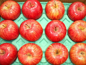 scTӂiyȂA`傫sjTCYsʉƒp@3kg 9`13