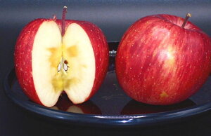 scTӂiyȂA`傫sjTCYsʉƒp@5kg 20`26