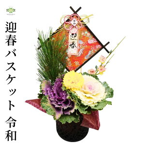  2026 p 񂹐A }toXPbg sߘat tO n{^ ͂ڂ   }t  NNn   ~ G Mtg v[g VN N a