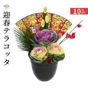 y12/4 20:00`23:59!!X^[g_bVN[|z 2026 }teRb^ ~j叼 픫 tO n{^ ͂ڂ   }t   ~ G Mtg v[g VN 