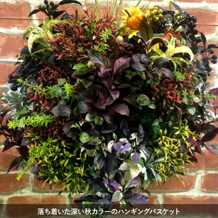 楽天市場 送料無料 季節のおまかせ 寄せ植え ハンギングバスケット フラワーギフト 旬 四季 壁掛け 誕生日 開店祝い 新築祝い 花飾り ギフト プレゼント 父の日 記念日 お祝い 引越し祝い お礼 メッセージカード フラワーギフトのマスダグリーン