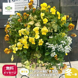 Ă pW[ rI nMOoXPbg 񂹐A ܂J[    t[ v A K[fjO S  ~  O t[Mtg Mtg v[