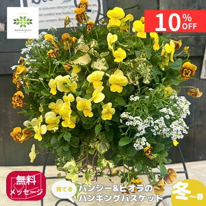 y10%OFF{N[| yVX[p[SALE12/4~12/11z Ă pW[ rI nMOoXPbg 񂹐A ܂J[    t[ v A K[fjO S  ~