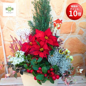 y}\ |Cg10{z NX}X |CZ`A 񂹐A eRb^   t[AWg  t[Mtg ԃMtg NX}XMtg v