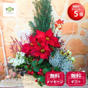 yBLACK FRIDAY |Cg5{z NX}X |CZ`A 񂹐A eRb^   t[AWg  t[Mtg ԃMtg NX}XMtg v[g a