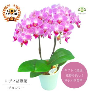 ~fBӒ s `[ tA4 2{  v[g Mtg t[Mtg 蕨 p hV j   A a LO R`E  