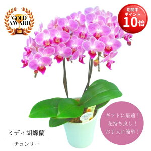 y}\ |Cg10{z ~fBӒ s `[ tA4 2{  v[g Mtg t[Mtg 蕨 p hV j   A a LO