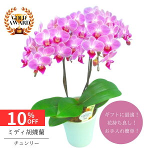 y12/4 20:00`23:59!!X^[g_bVN[|z ~fBӒ s `[ tA4 2{  v[g Mtg t[Mtg 蕨 p hV j   A a