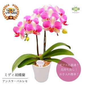 ~fBӒ As AXEp t4 2{  v[g Mtg t[Mtg 蕨 p hV j  p A a LO R`E m  