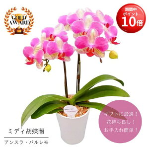 y}\ |Cg10{z ~fBӒ As AXEp t4 2{  v[g Mtg t[Mtg 蕨 p hV j  p A a