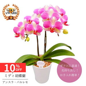 y12/4 20:00`23:59!!X^[g_bVN[|z ~fBӒ As AXEp t4 2{  v[g Mtg t[Mtg 蕨 p hV j  