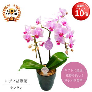 y}\ |Cg10{z ~fBӒs  t A 4 2{ sN  v[g Mtg t[Mtg 蕨 hV p j  p A a