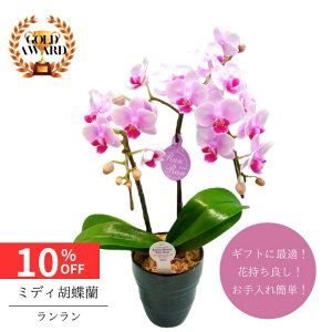 y12/4 20:00`23:59!!X^[g_bVN[|z ~fBӒs  t A 4 2{ sN  v[g Mtg t[Mtg 蕨 hV p j  p 