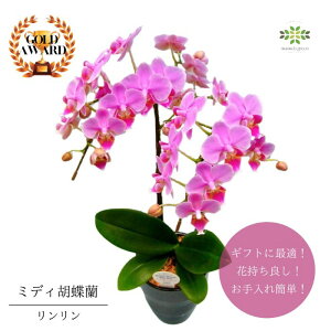 ~fBӒs  tsN A 4 2{  v[g Mtg t[Mtg 蕨 hV p j   A a LO R`E m  