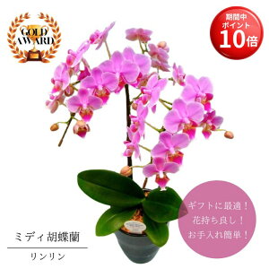 y}\ |Cg10{z ~fBӒs  tsN A 4 2{  v[g Mtg t[Mtg 蕨 hV p j   A a 