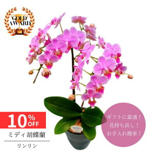 y12/4 20:00`23:59!!X^[g_bVN[|z ~fBӒs  tsN A 4 2{  v[g Mtg t[Mtg 蕨 hV p j   