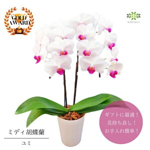 ~fBӒ As ~ t42{  v[g Mtg t[Mtg 蕨 hV p j   A a LO R`E m    