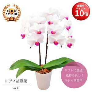 y}\ |Cg10{z ~fBӒ As ~ t42{  v[g Mtg t[Mtg 蕨 hV p j   A a LO R`