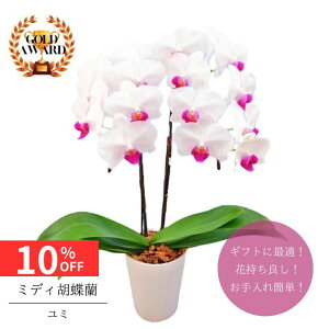 y12/4 20:00`23:59!!X^[g_bVN[|z ~fBӒ As ~ t42{  v[g Mtg t[Mtg 蕨 hV p j   A a L