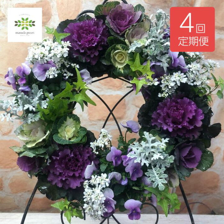 楽天市場】【 年4回 定期便 】季節のおまかせ【 寄せ植え ハンギング 