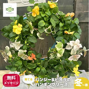 Ă pW[ rI nMO[X 񂹐A CG[EIWn    t[ v A K[fjO S  ~  O t[Mtg Mtg v[