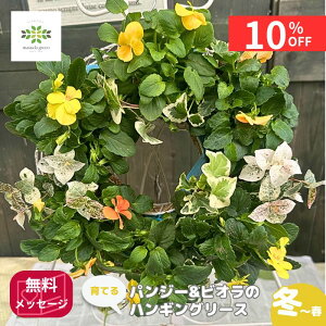 y10%OFF{N[| yVX[p[SALE12/4~12/11z Ă pW[ rI nMO[X 񂹐A CG[EIWn    t[ v A K[fjO S  