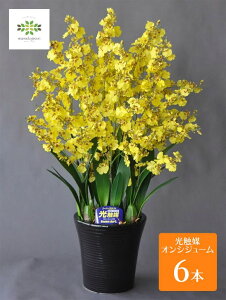 G} A[gt[ s IVWE 6{ t F C   Mtg v[g hV a LO j zj JXj Vzj  bZ[WJ[h 