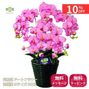 y12/4 20:00`23:59!!X^[g_bVN[|z G} A[gt[s Ӓ MTCY 5{ tsN   v[g Mtg t[Mtg 蕨 p hV j 