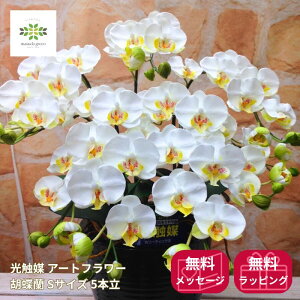 ���G�} �A�[�g�t�����[�s �Ӓ��� S�T�C�Y 5�{�� �t�� �z���C�g �������� ���� ���� �R�`���E���� �v���[���g �M�t�g �t�����[�M�t�g ���蕨 �h�V ����p ���j�� ���� ���� ���A �a���� �L�O�� 