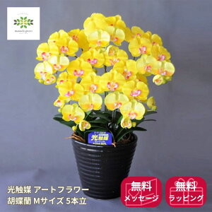 ���G�} �A�[�g�t�����[�s �Ӓ��� M�T�C�Y 5�{�� �t���F �C�G���[ �������� ���� ��C��� �v���[���g �M�t�g �t�����[�M�t�g ���蕨 �h�V ����p ���j�� ���� ���� ���A �a���� �L�O�� �R�`��