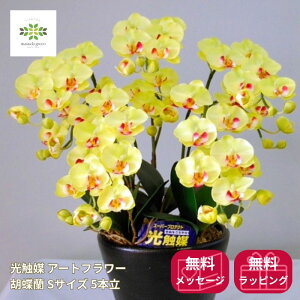 ���G�} �A�[�g�t�����[�s �Ӓ��� S�T�C�Y 5�{�� �t���F �C�G���[ �������� ���� ��C��� �v���[���g �M�t�g �t�����[�M�t�g ���蕨 �h�V ����p ���j�� ���� ���� ���A �a���� �L�O�� �R�`��