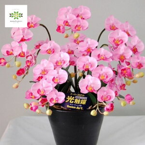 G}A[gt[s Ӓ STCY 5{ t sN   t[Mtg G} A[gt[ CeA C Mtg v[g hV a LO JXj V