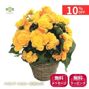 y12/4 20:00`23:59!!X^[g_bVN[|z xSjA A o炫 CG[ 5 F  Mtg v[g p p a LO j zj JXj Vz