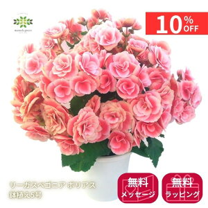 y12/4 20:00`23:59!!X^[g_bVN[|z [KXxSjA A s {AX t 5 JS d炫 o炫 sN  Mtg v[g t[Mtg p  