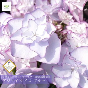 2026 ̓ AWTC A PCR u[ 5  z  ̓ ̓Mtg ŗDG _u  